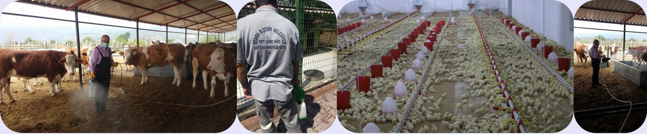 ATA -ENTO- Farm Spraying Machine