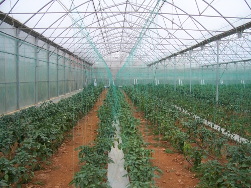 Greenhouse Spraying Machine